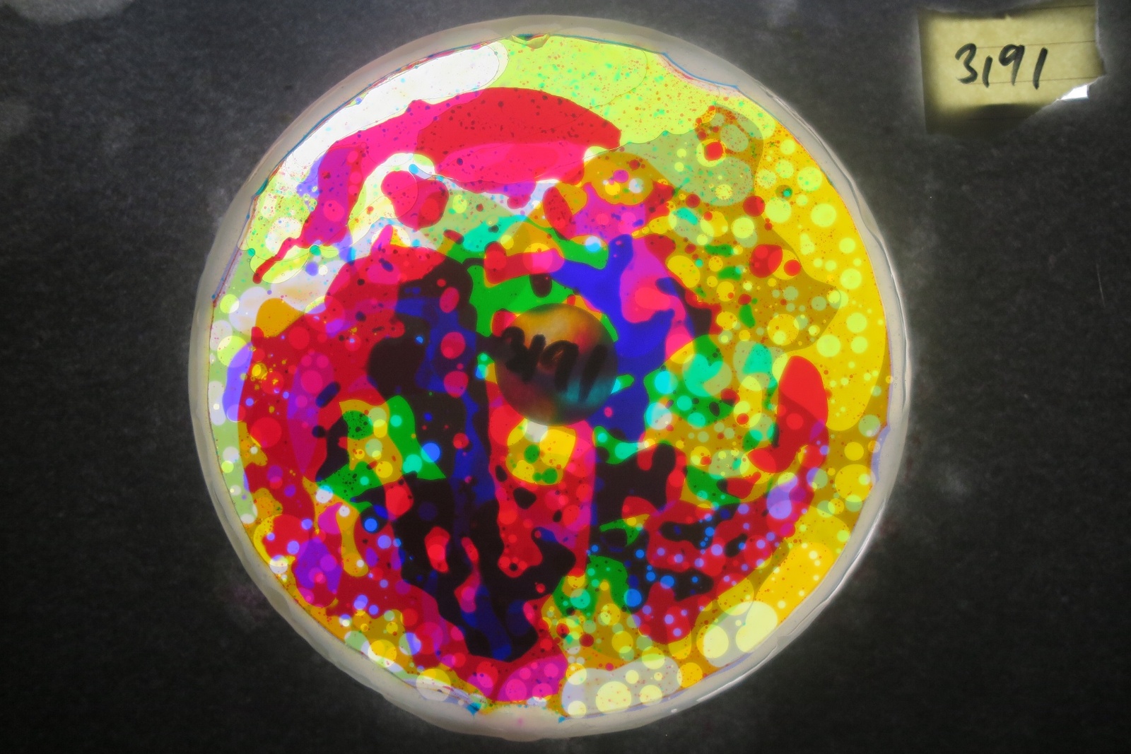 BV3191 bubble vision oil wheel